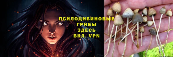 ПСИЛОЦИБИНОВЫЕ ГРИБЫ Армянск