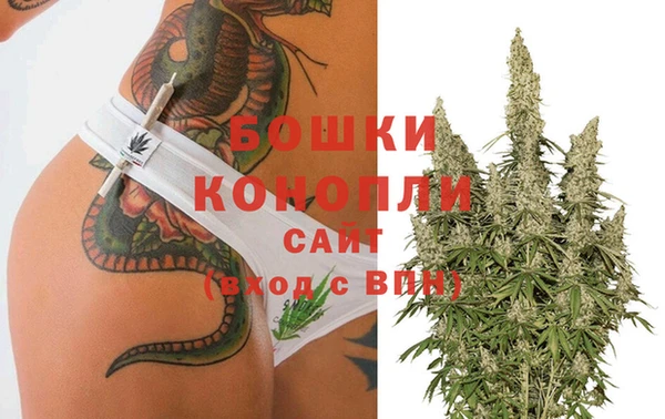 ПСИЛОЦИБИНОВЫЕ ГРИБЫ Армянск