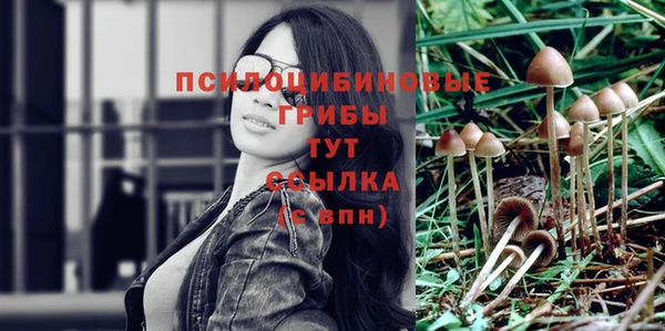 ПСИЛОЦИБИНОВЫЕ ГРИБЫ Армянск